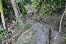 Weg zur Rawhiti Cave