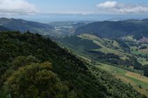 Hardwood Lookout Takaka
