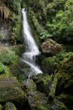 Waipohatu Falls