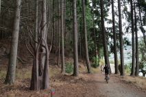 Kelvin Peninsula Queenstown