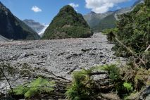 Fox Glacier