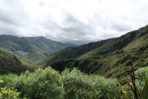 Remutaka Pass