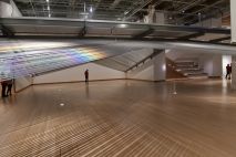 Te Papa Museum Wellington