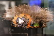 Puke Arki New Plymouth Museum