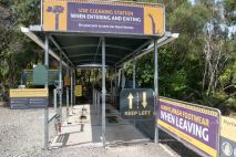 Schutz für Kauri Baum