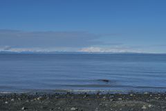Cook Inlet