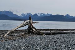Homer Kachemak Bay
