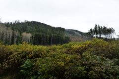 18 Winter Harbour Road