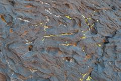 Snow Canyon State Park