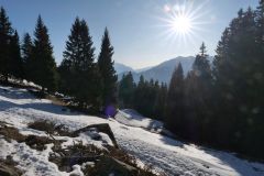 Ultental