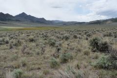 Old Spanish Trail